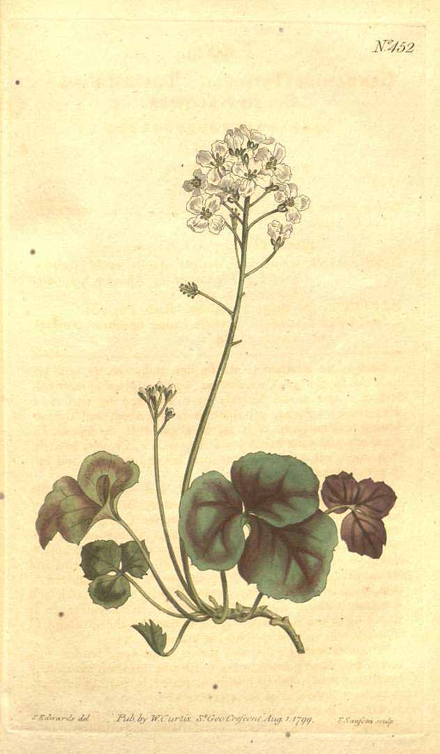 no HD illustration available (3)