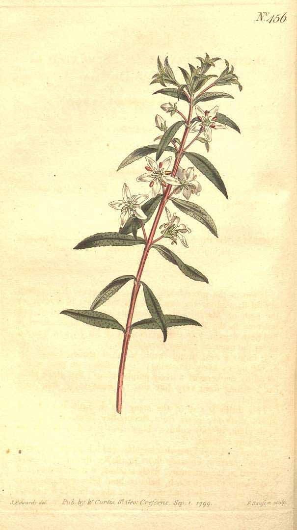 no HD illustration available (3)