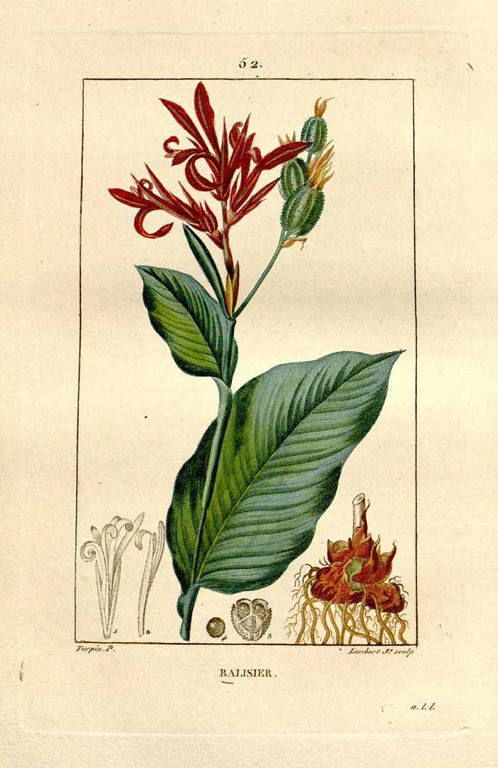 no HD illustration available (3)