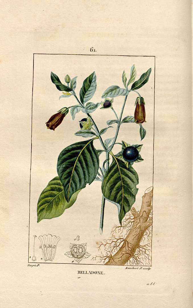 no HD illustration available (3)