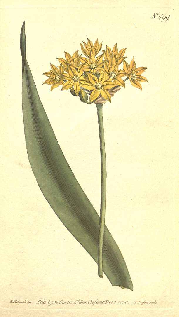 no HD illustration available (3)