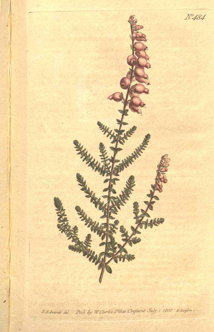 no HD illustration available (3)