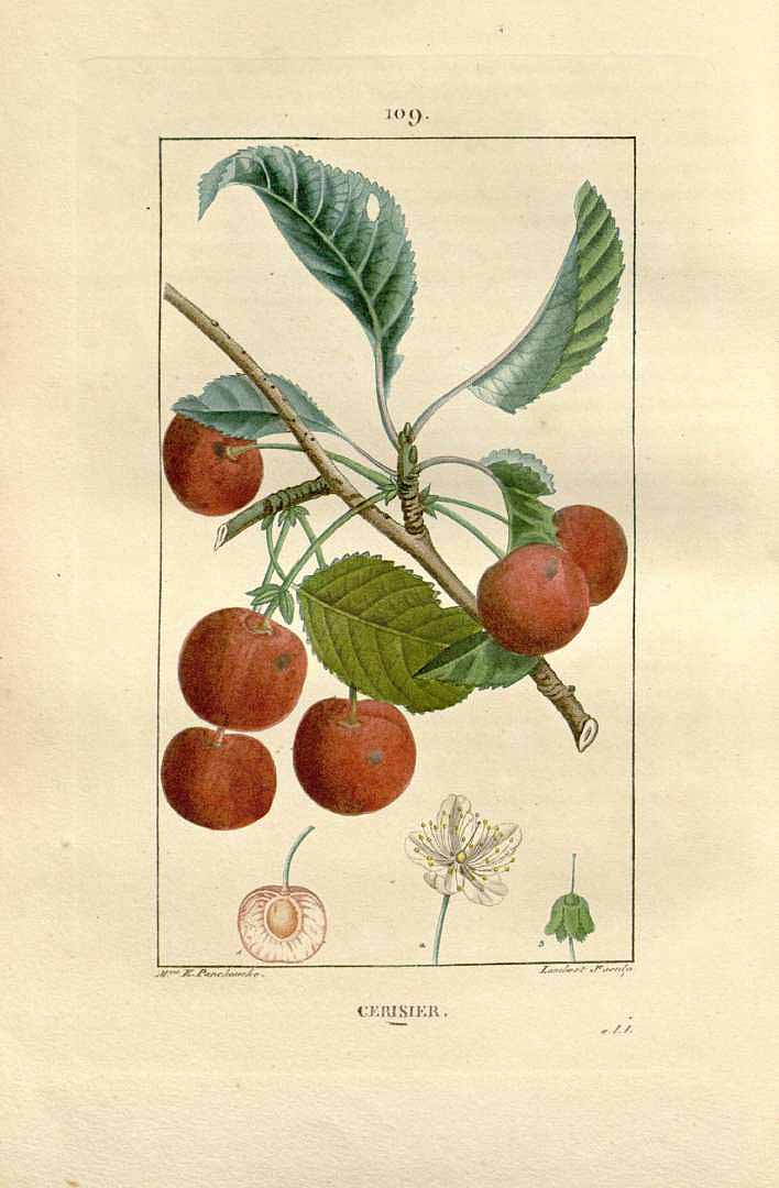 no HD illustration available (3)