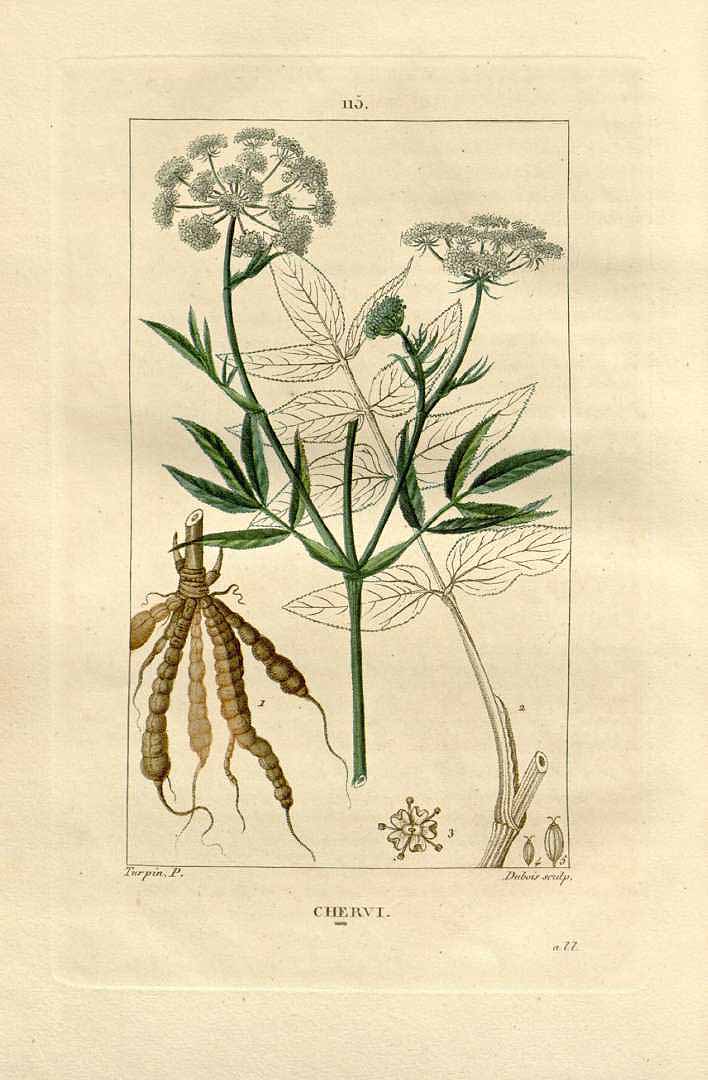 no HD illustration available (3)