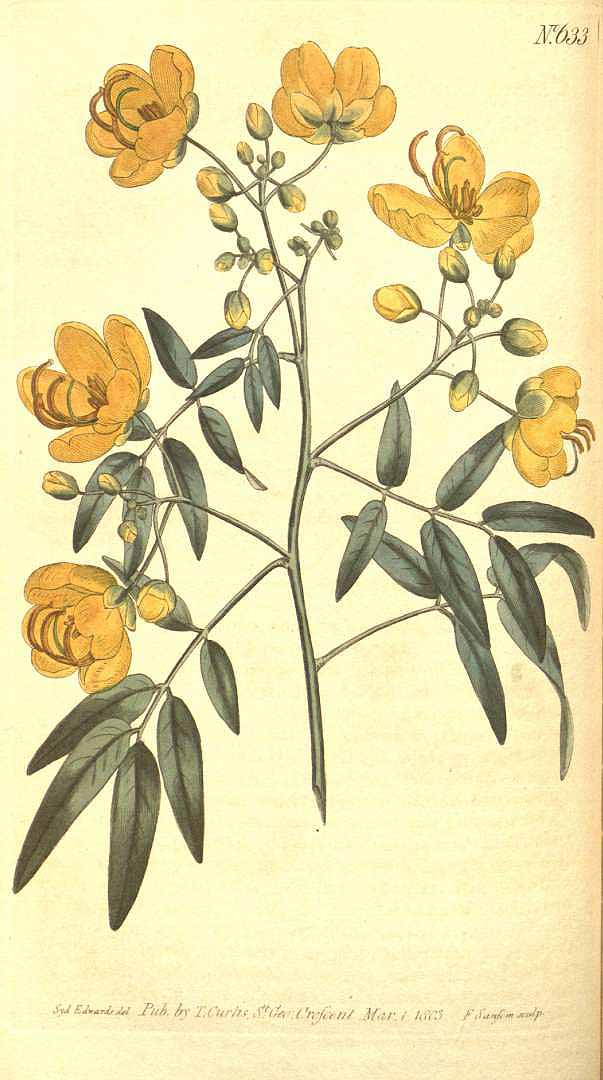 no HD illustration available (3)