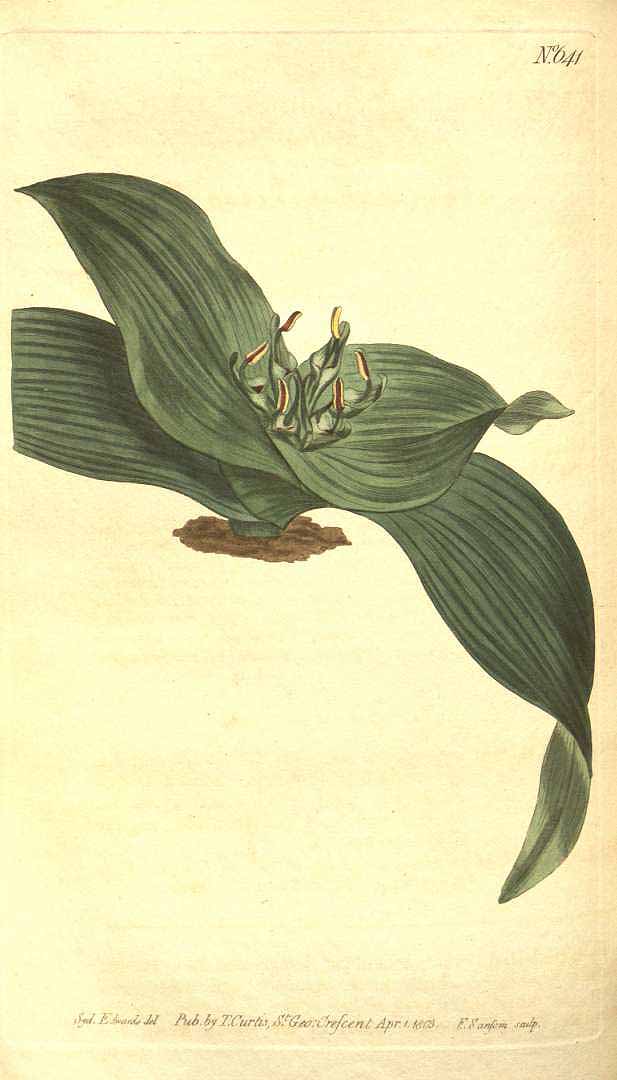 no HD illustration available (3)