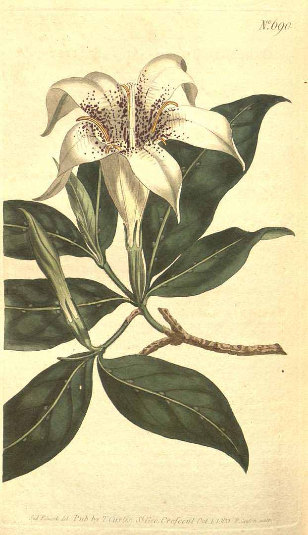 no HD illustration available (3)