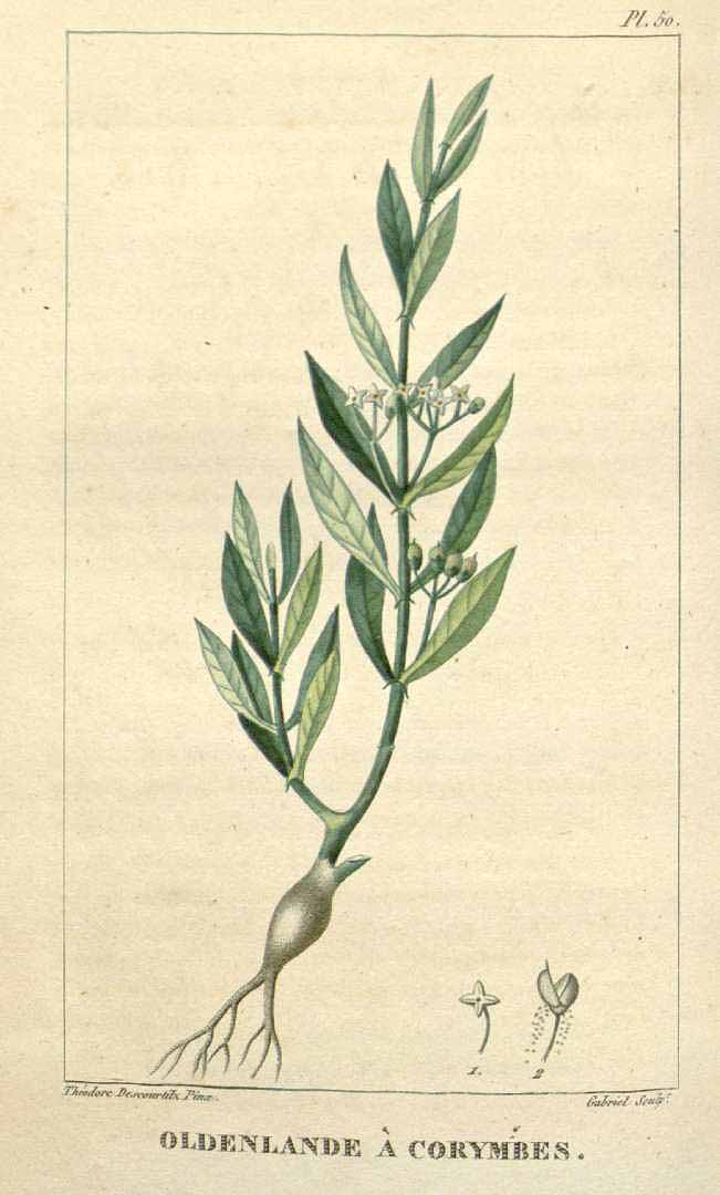 no HD illustration available (3)