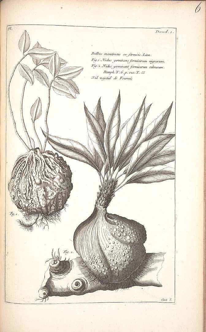 no HD illustration available (3)