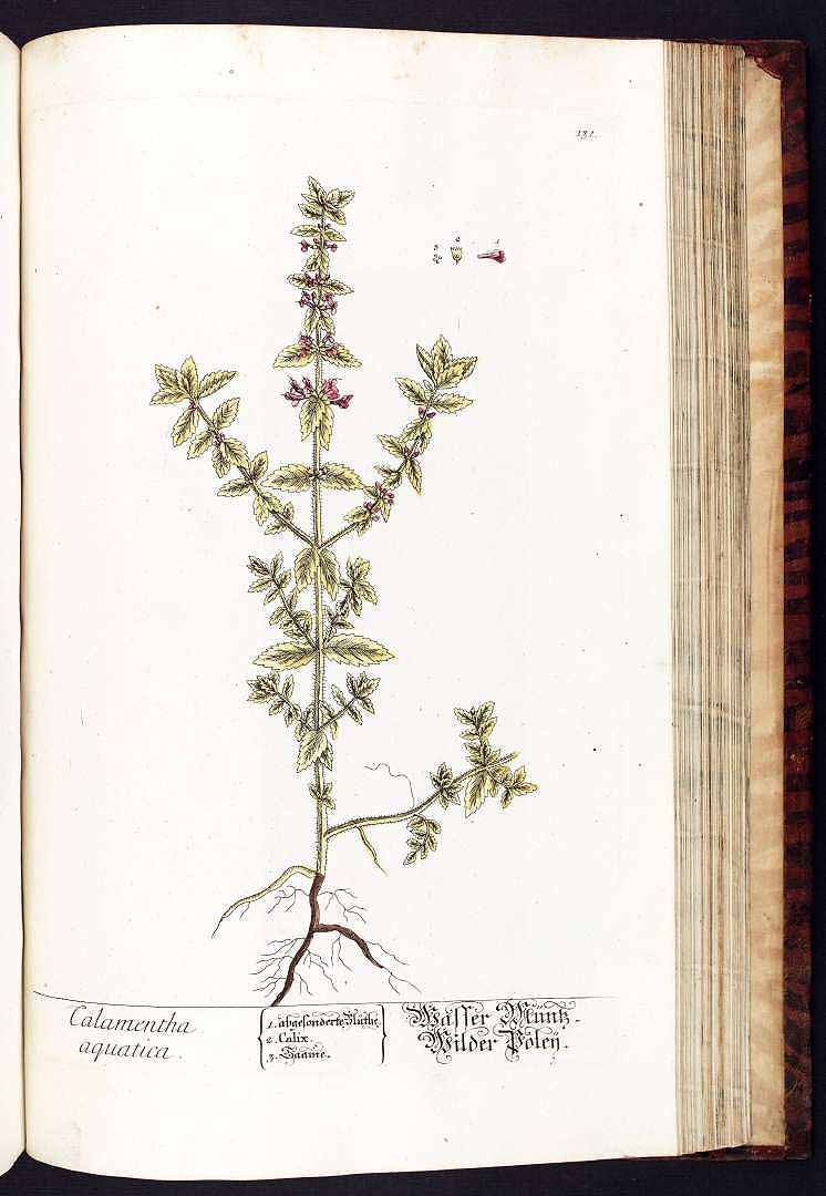 no HD illustration available (3)