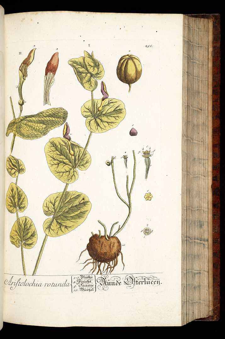 no HD illustration available (3)