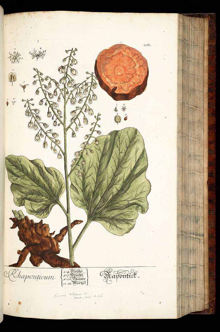 no HD illustration available (3)