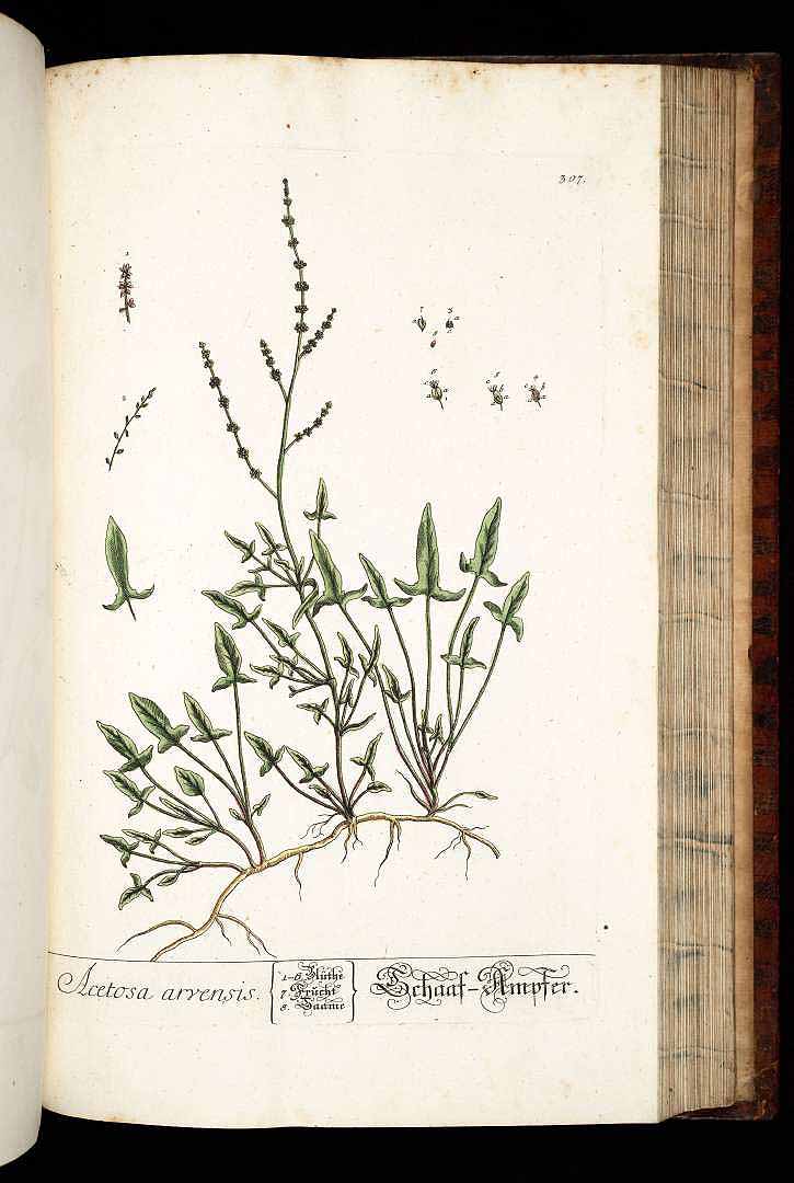 no HD illustration available (3)