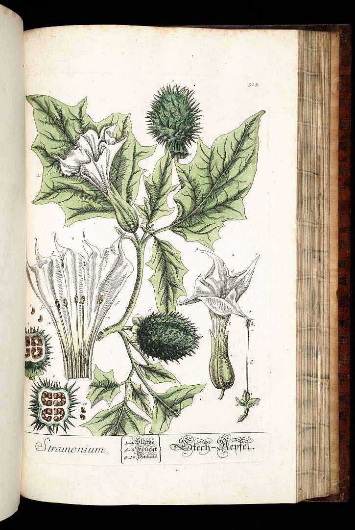 no HD illustration available (3)