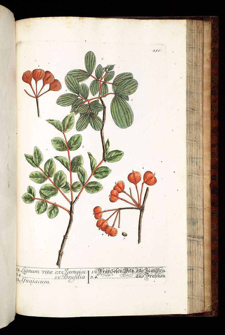 no HD illustration available (3)