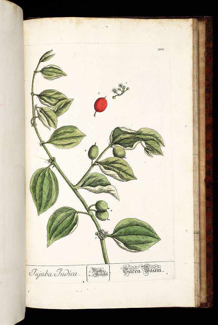 no HD illustration available (3)