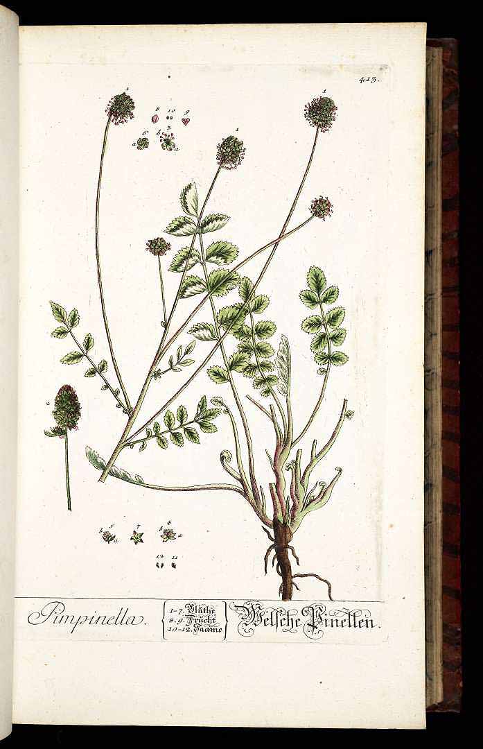 no HD illustration available (3)