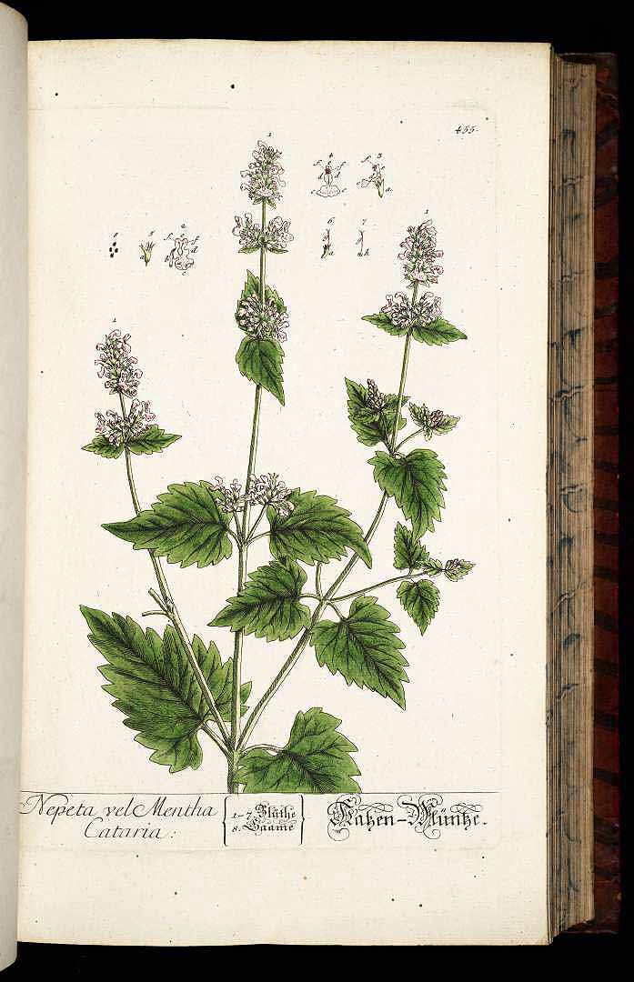 no HD illustration available (3)