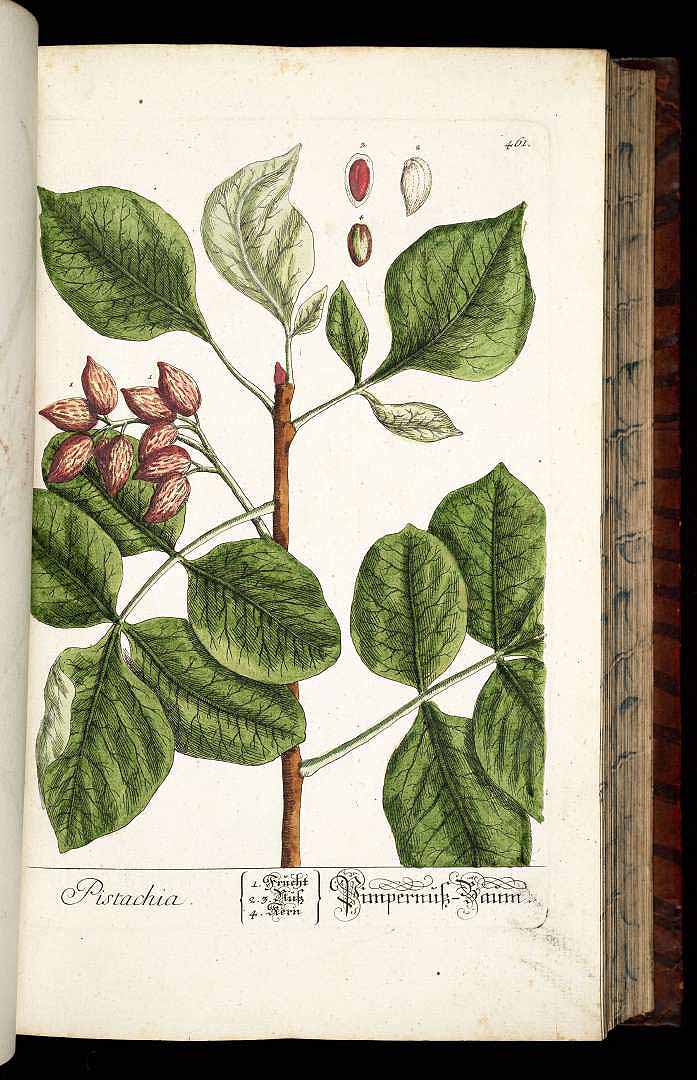 no HD illustration available (3)