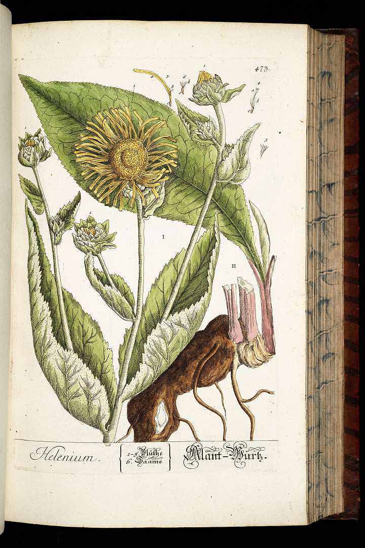 no HD illustration available (3)