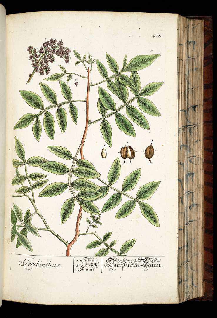 no HD illustration available (3)