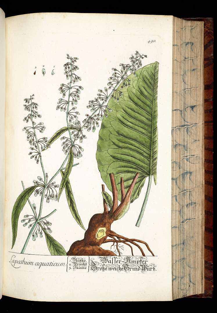 no HD illustration available (3)