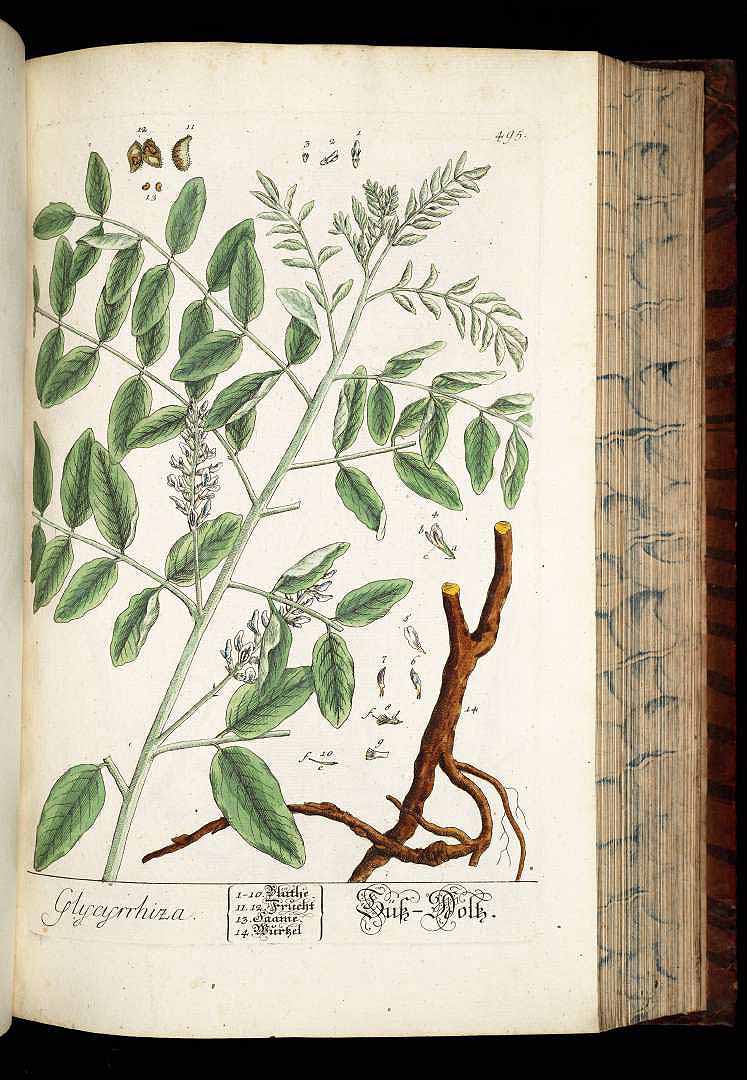 no HD illustration available (3)