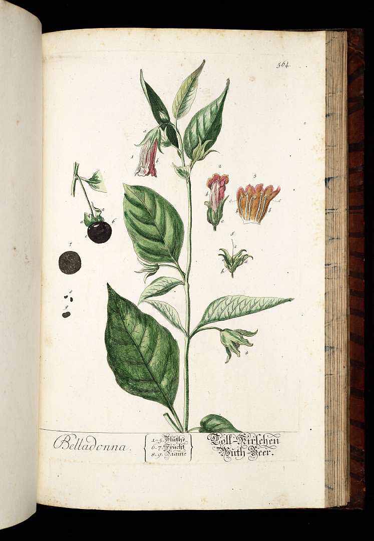 no HD illustration available (3)