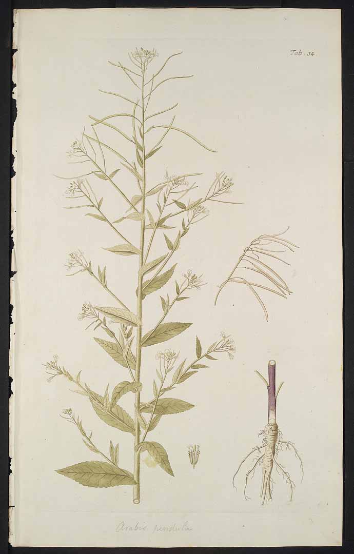 no HD illustration available (3)