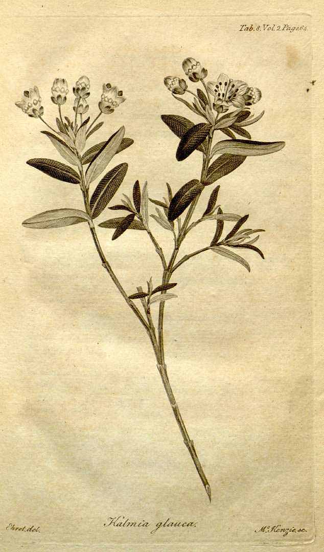 no HD illustration available (3)