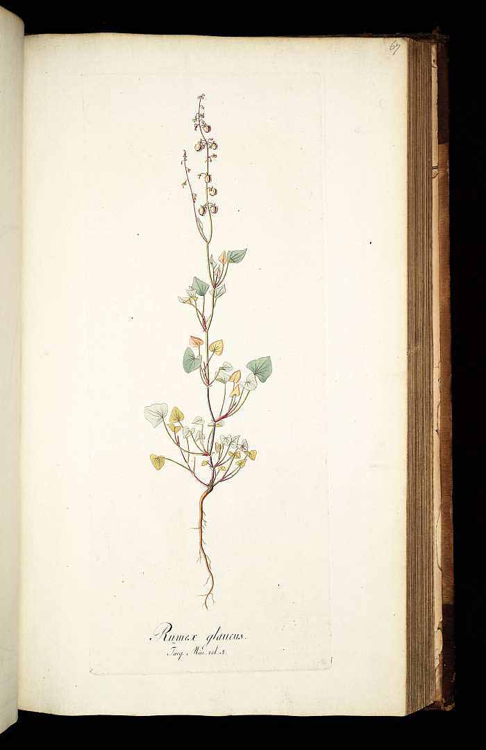 no HD illustration available (3)