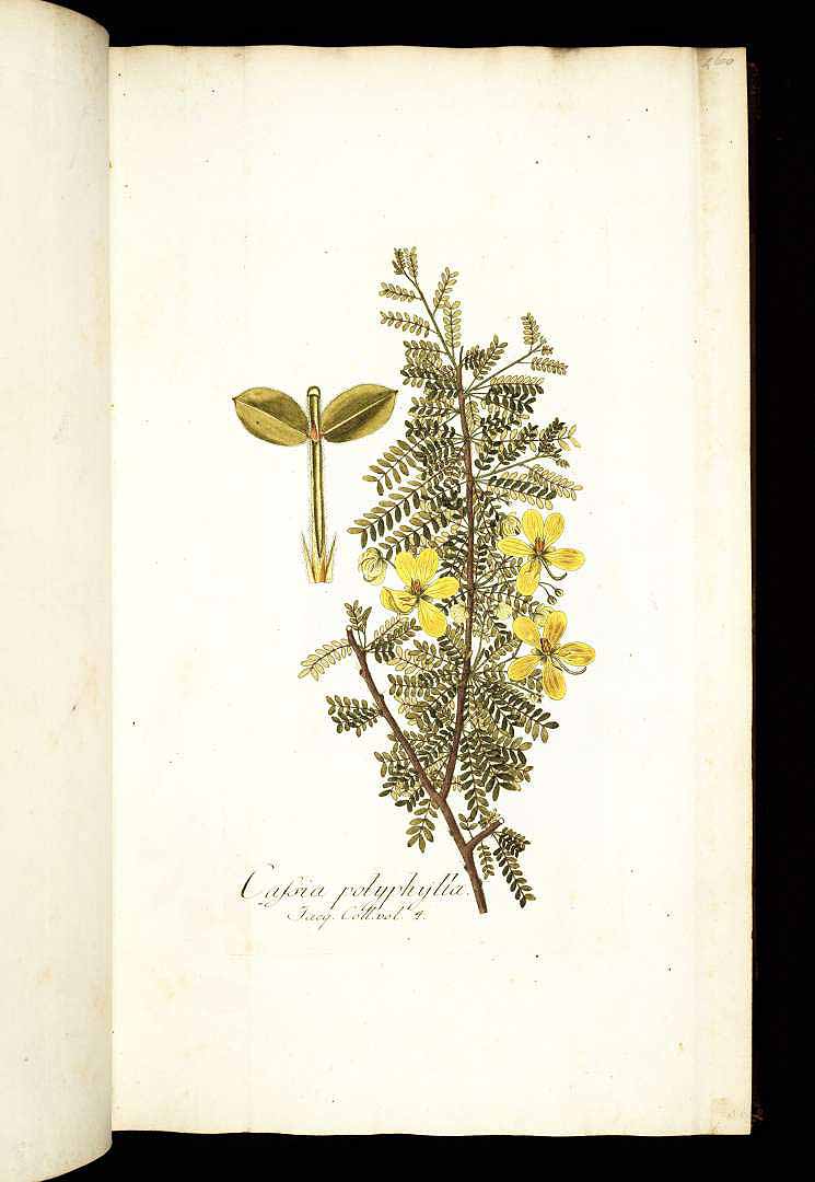 no HD illustration available (3)