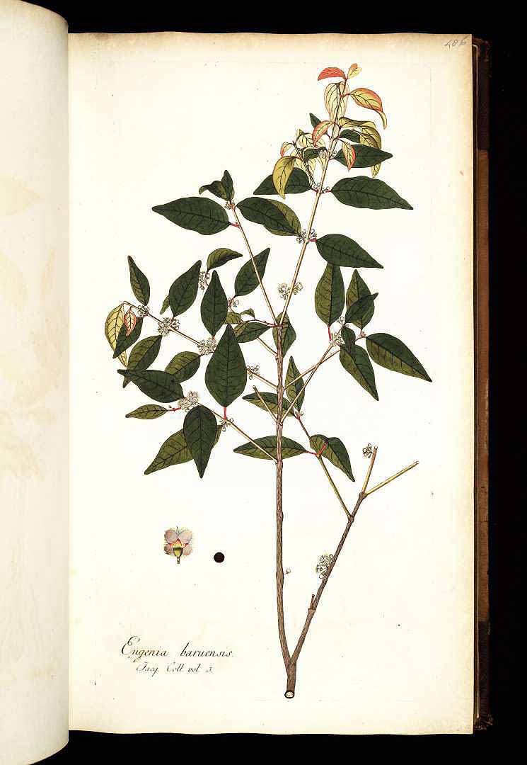 no HD illustration available (3)