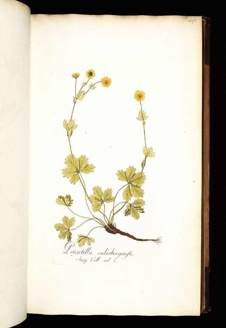 no HD illustration available (3)