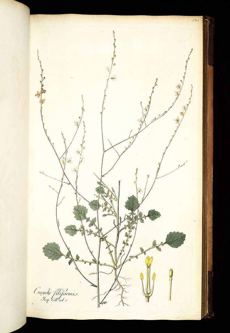 no HD illustration available (3)