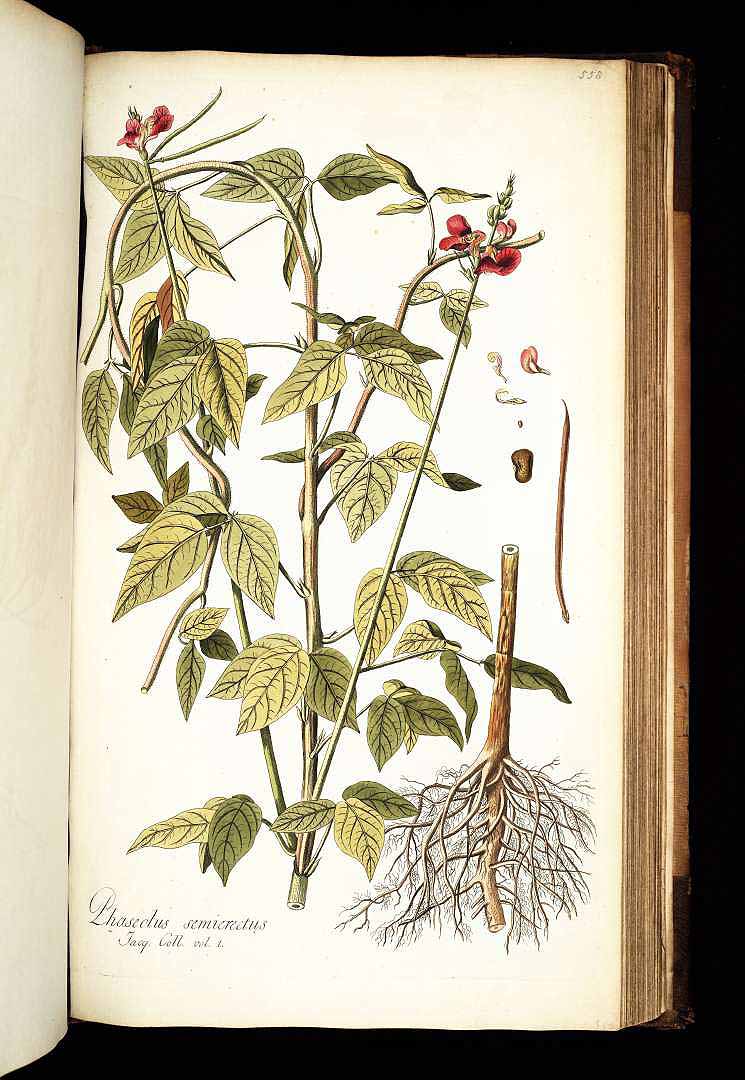 no HD illustration available (3)