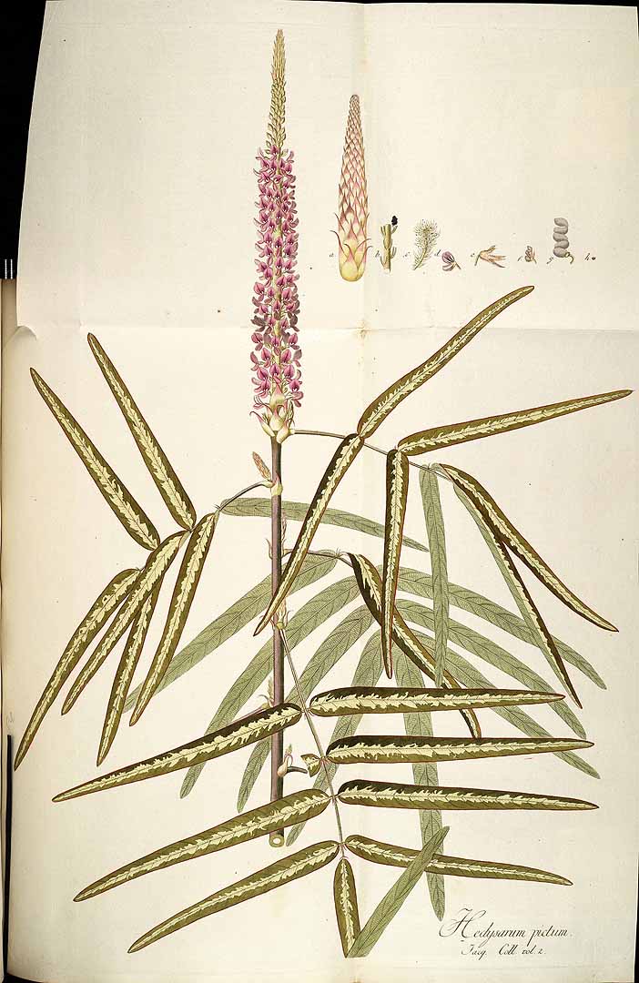 no HD illustration available (3)