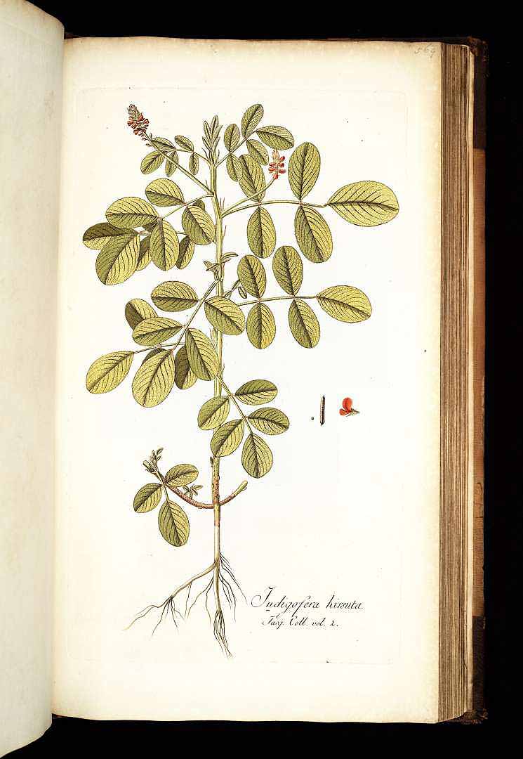 no HD illustration available (3)