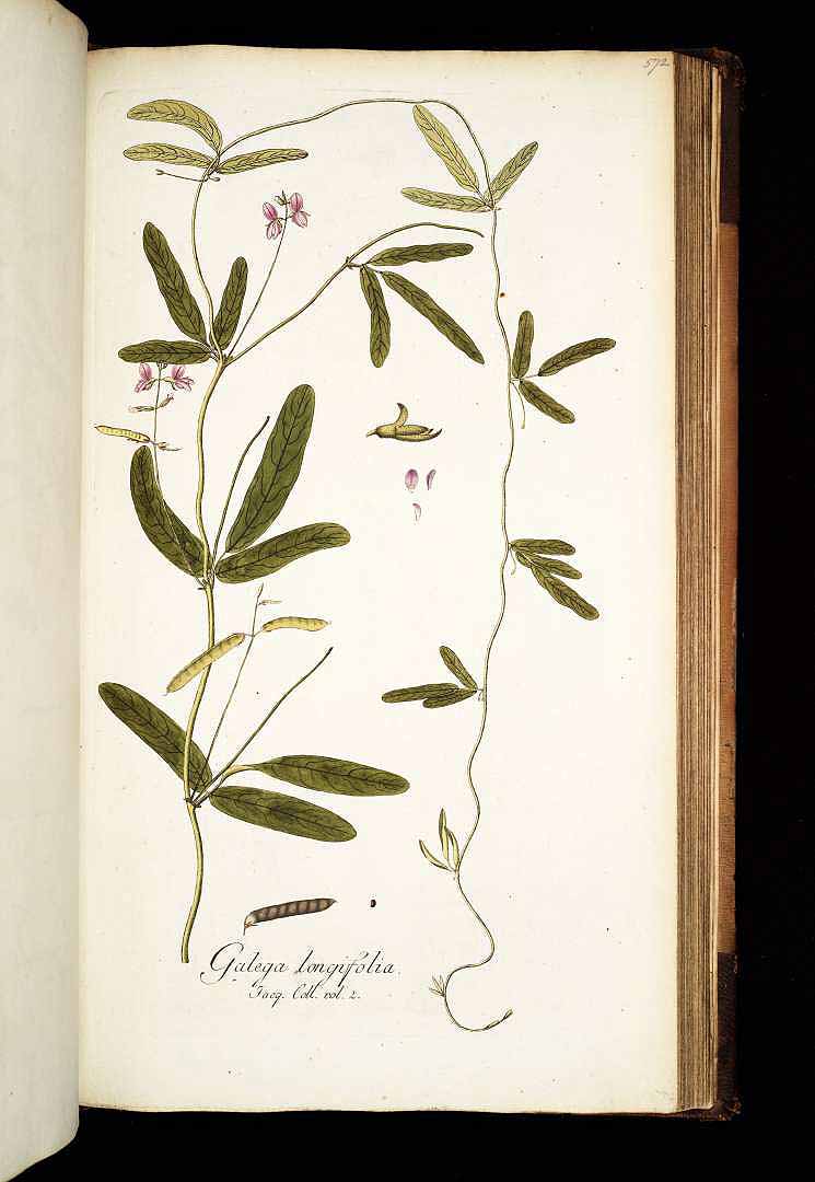 no HD illustration available (3)