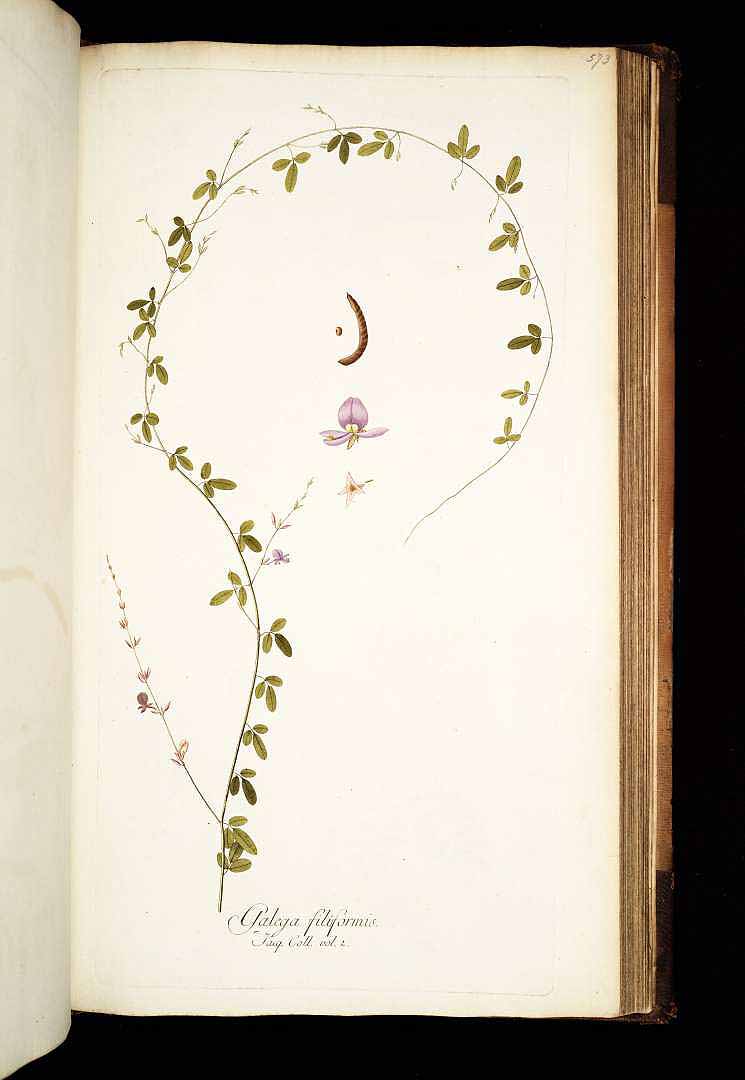 no HD illustration available (3)