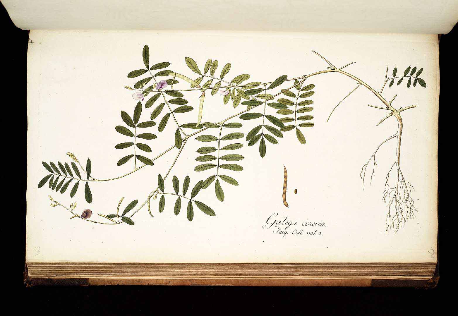 no HD illustration available (3)