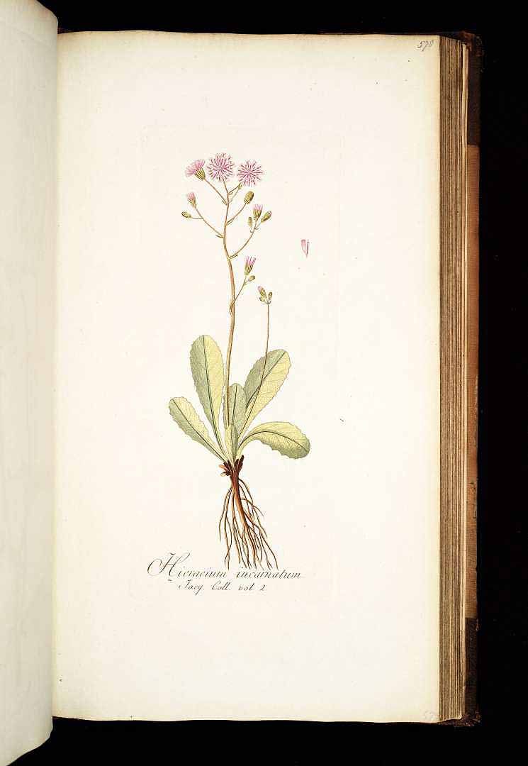 no HD illustration available (3)