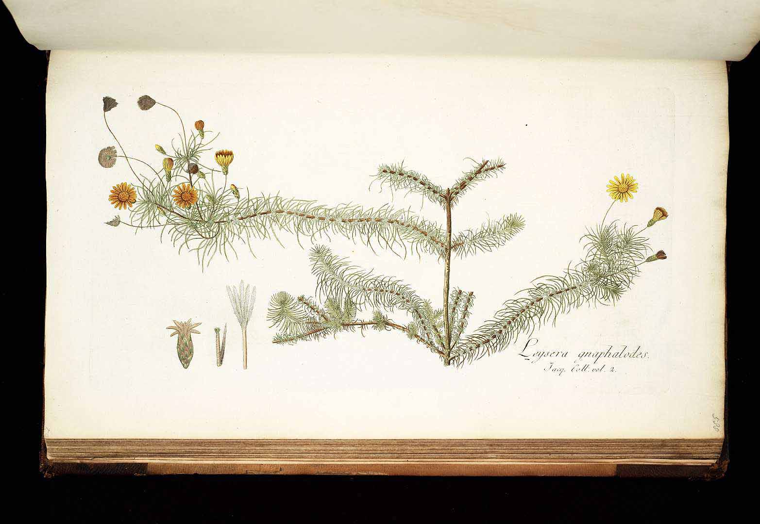 no HD illustration available (3)