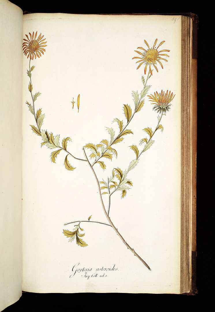 no HD illustration available (3)