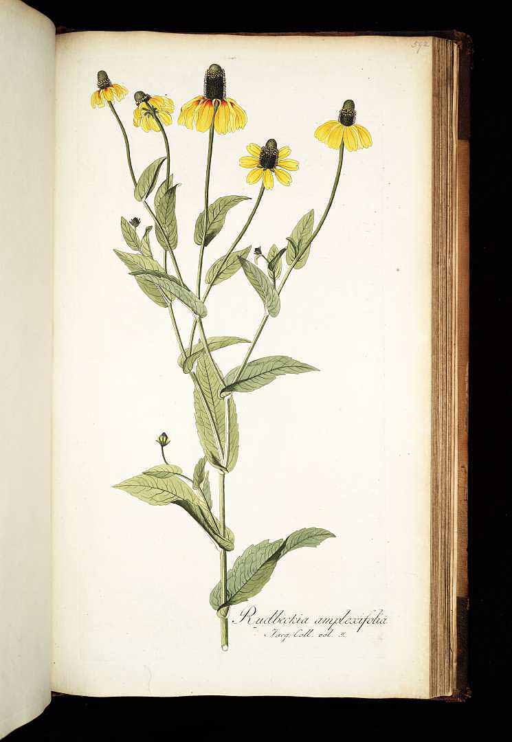 no HD illustration available (3)