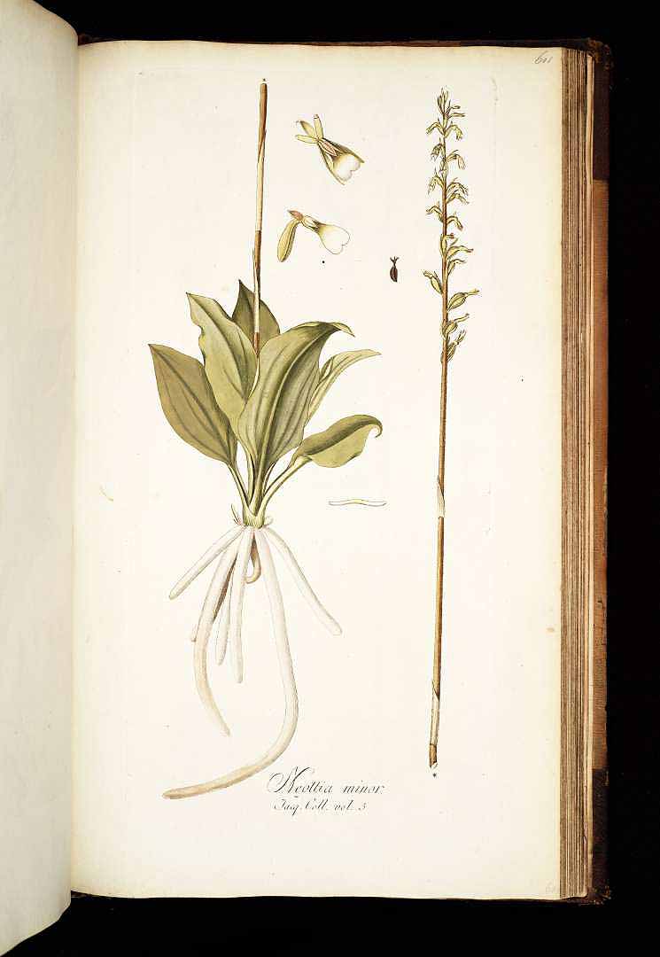 no HD illustration available (3)