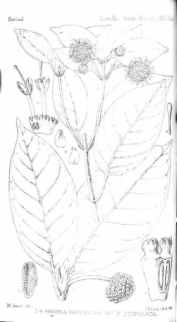 no HD illustration available (3)