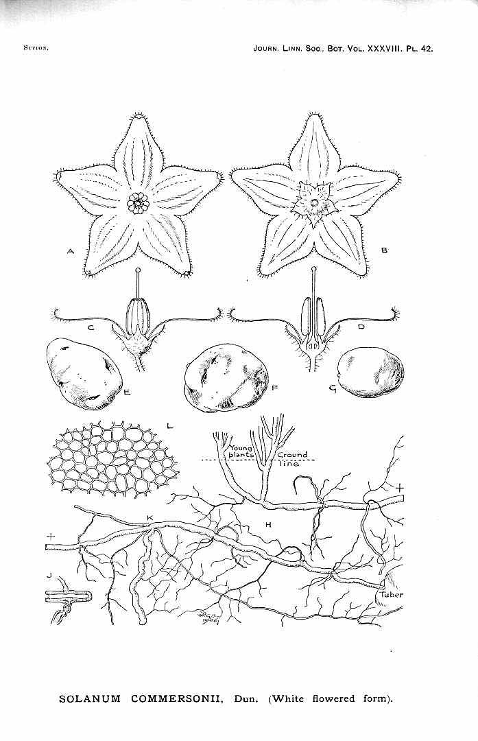 no HD illustration available (3)