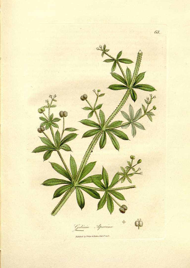 no HD illustration available (3)