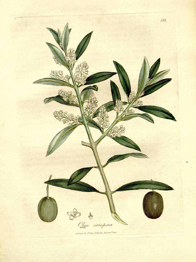 no HD illustration available (3)